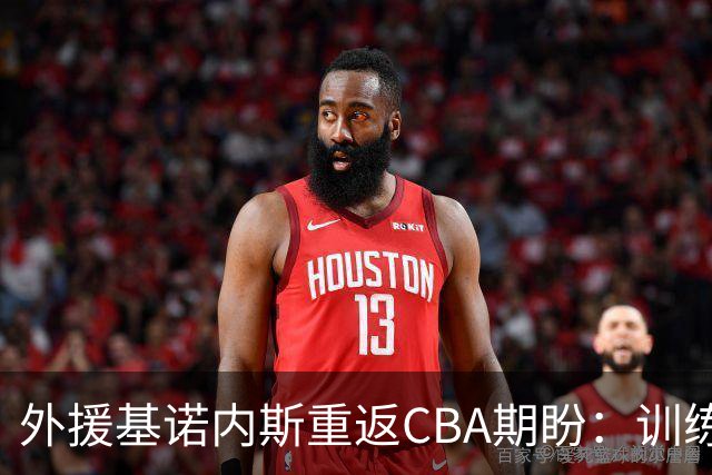 外援基诺内斯重返CBA期盼：训练表现优秀但赛场不适应